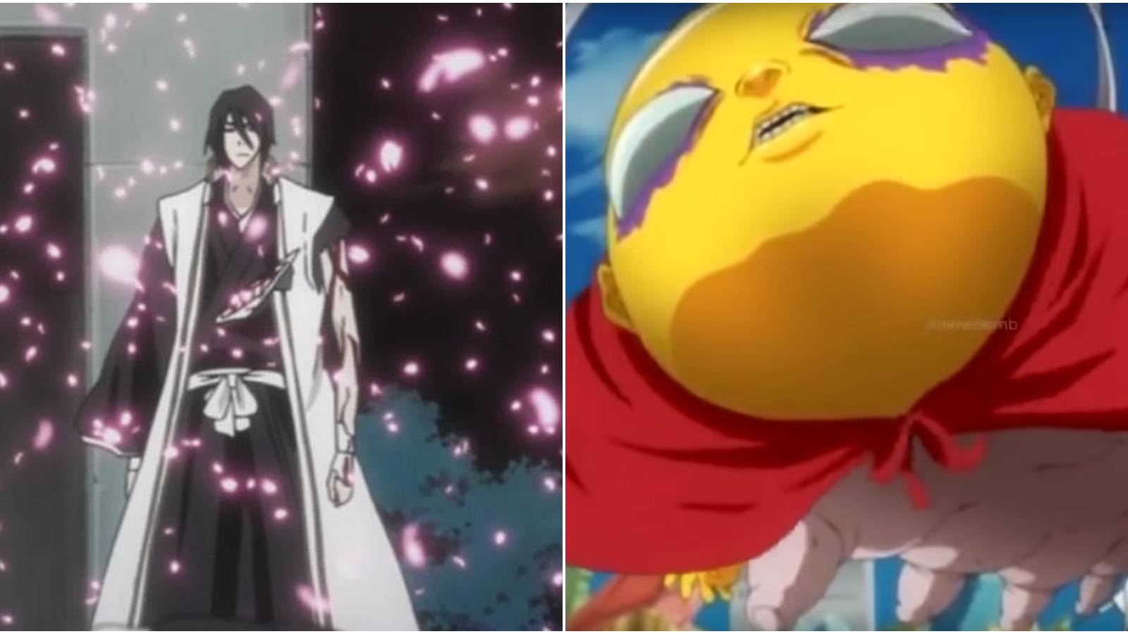 Bleach: 10 Facts You Didn't Know About Bankai