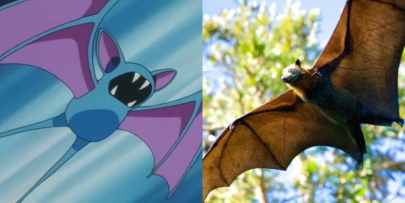 10 Pokémon And Their Real-Life Animal Counterparts