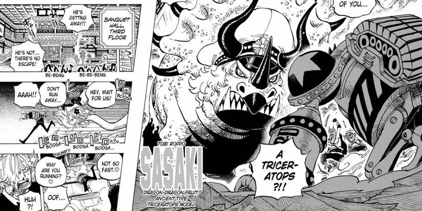 One Piece: The Tobi Roppo, Ranked By Their Devil Fruit Powers