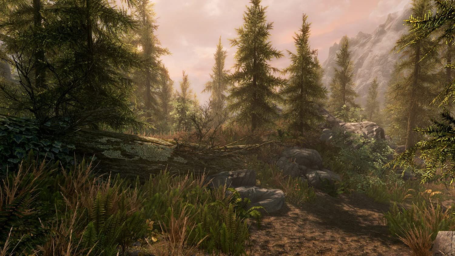 Skyrim-2