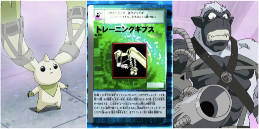 Digimon Tamers: 10 Must-Have Digi-Modify Cards Digimon Tamers: 10 Must-Have Digi-Modify Cards