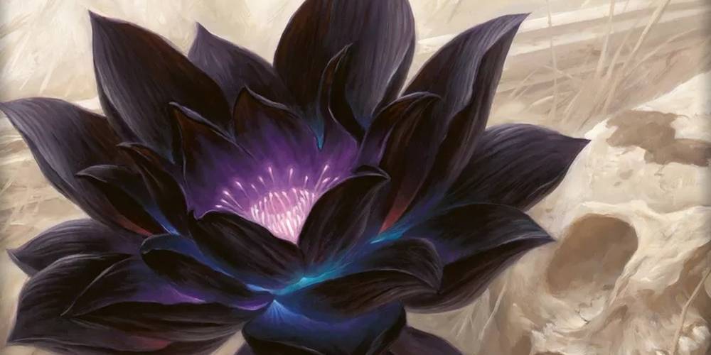MTG: How Many Black Lotus Cards Remain?