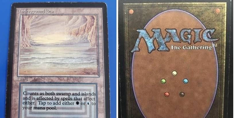 10 Most Expensive Magic The Gathering Cards Of 2020 (& What They Sold For) 10 Most Expensive Magic The Gathering Cards Of 2020 (& What They Sold For)