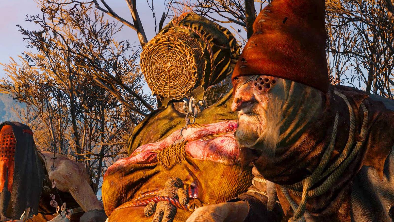 The Witcher: Everything We Know About the Crones of Crookback Bog