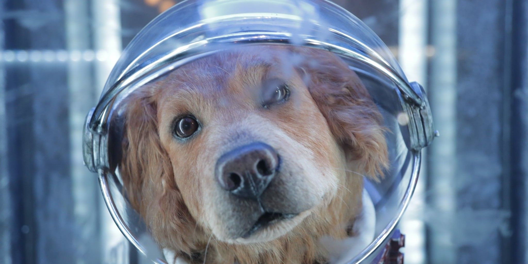 Spilla Smaltata Marvel Guardiani Della Galassia Vol. 3 &ndash; Cane Spaziale Cosmo &ndash; SalesOne