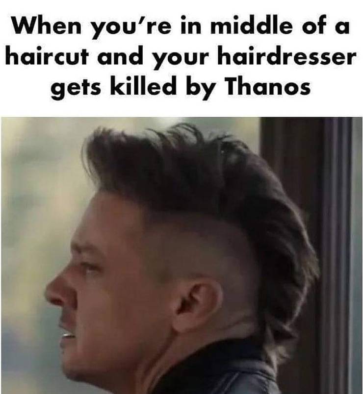 hawkeye meme.v1 5.jpg?q=50&fit=crop&w=740&h=804&dpr=1