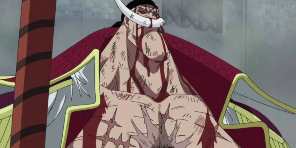 10 Saddest Deaths In One Piece Ranked Cbr