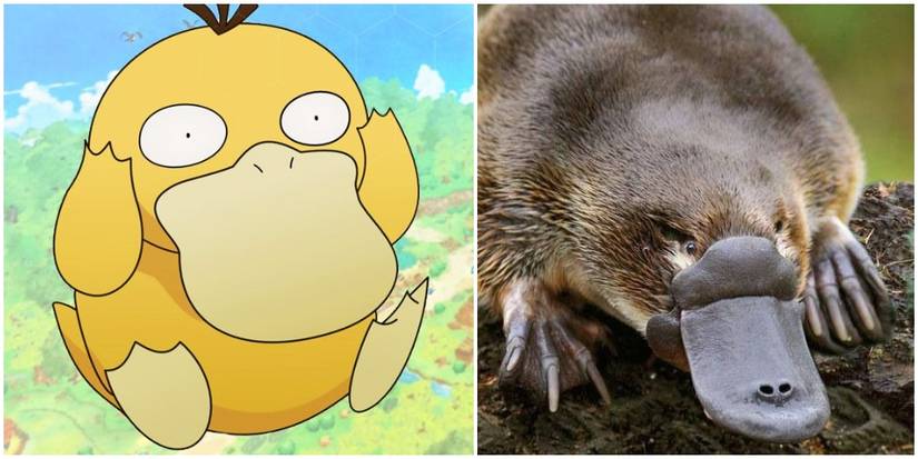 20 Pokémon That Are Basically Real Animals