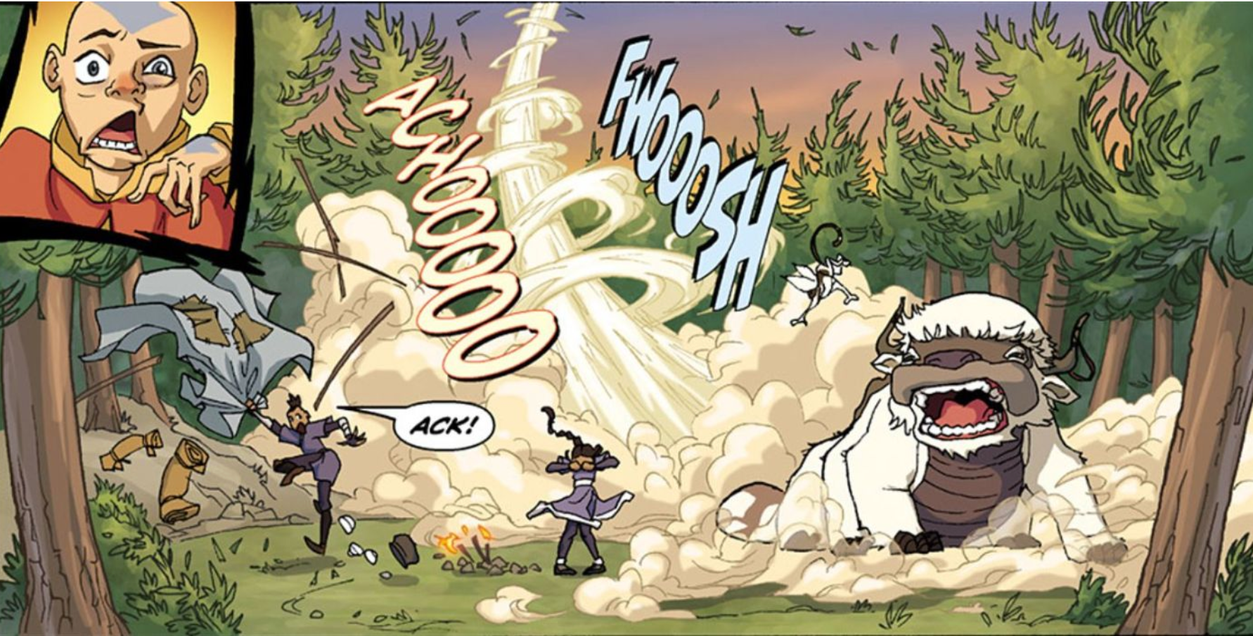 Avatar: 10 Things Fans Don't Know About Appa
