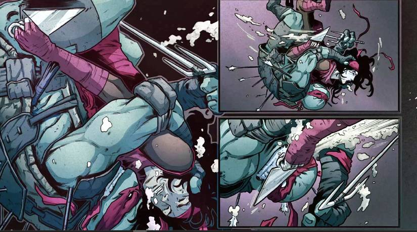 Teenage Mutant Ninja Turtles: How Raphael Died in The Last Ronin
