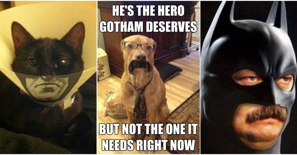 Batman 10 Hilarious The Hero We Deserve Memes Cbr