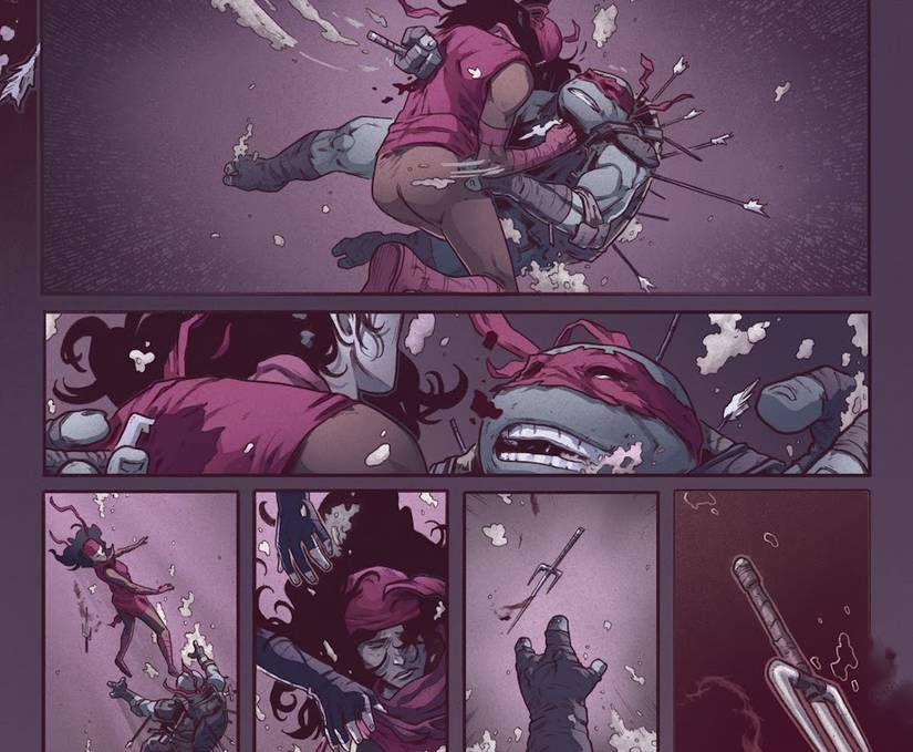 Teenage Mutant Ninja Turtles: How Raphael Died in The Last Ronin