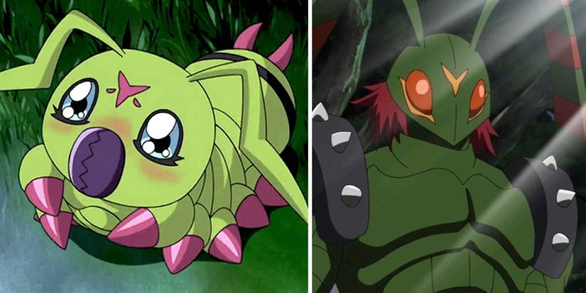 Wormmon Line Digimon Wormmon Line