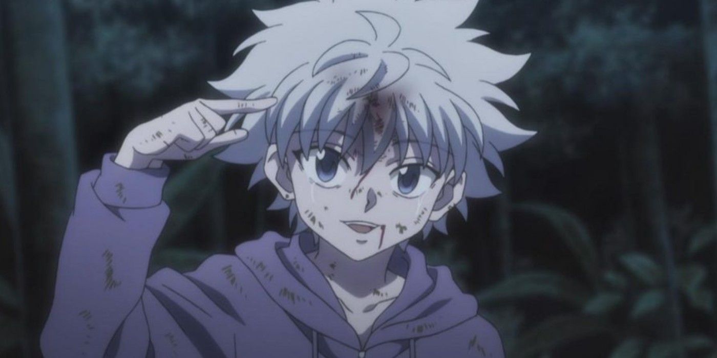 Hunter x Hunter: Zoldyck Family Tree, Explained
