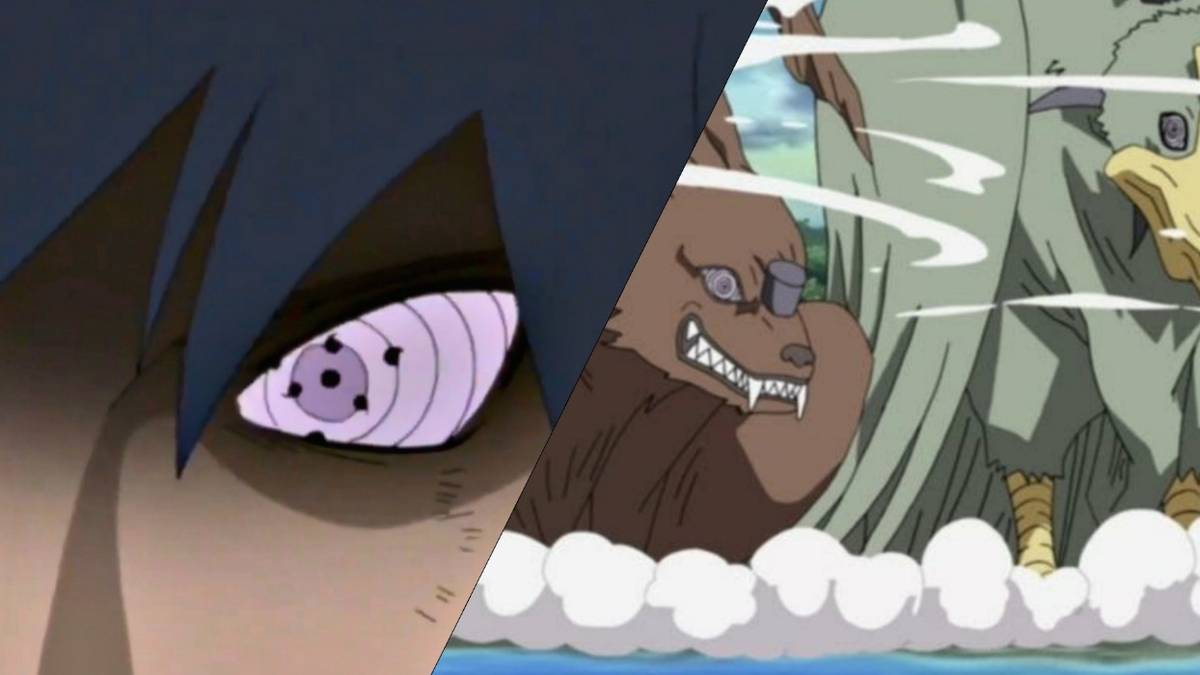 All Rinnegan Users Use Of Rinnegan