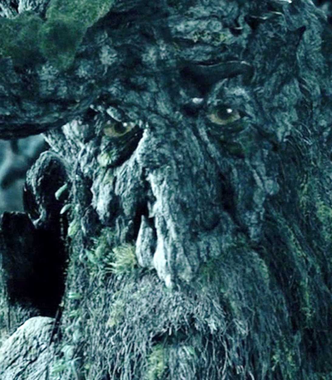 Red Tree Ent Every Ent Named in The Lord of the Rings