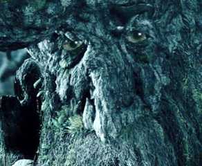 Treebeard Battle Every Ent Named in The Lord of the Rings