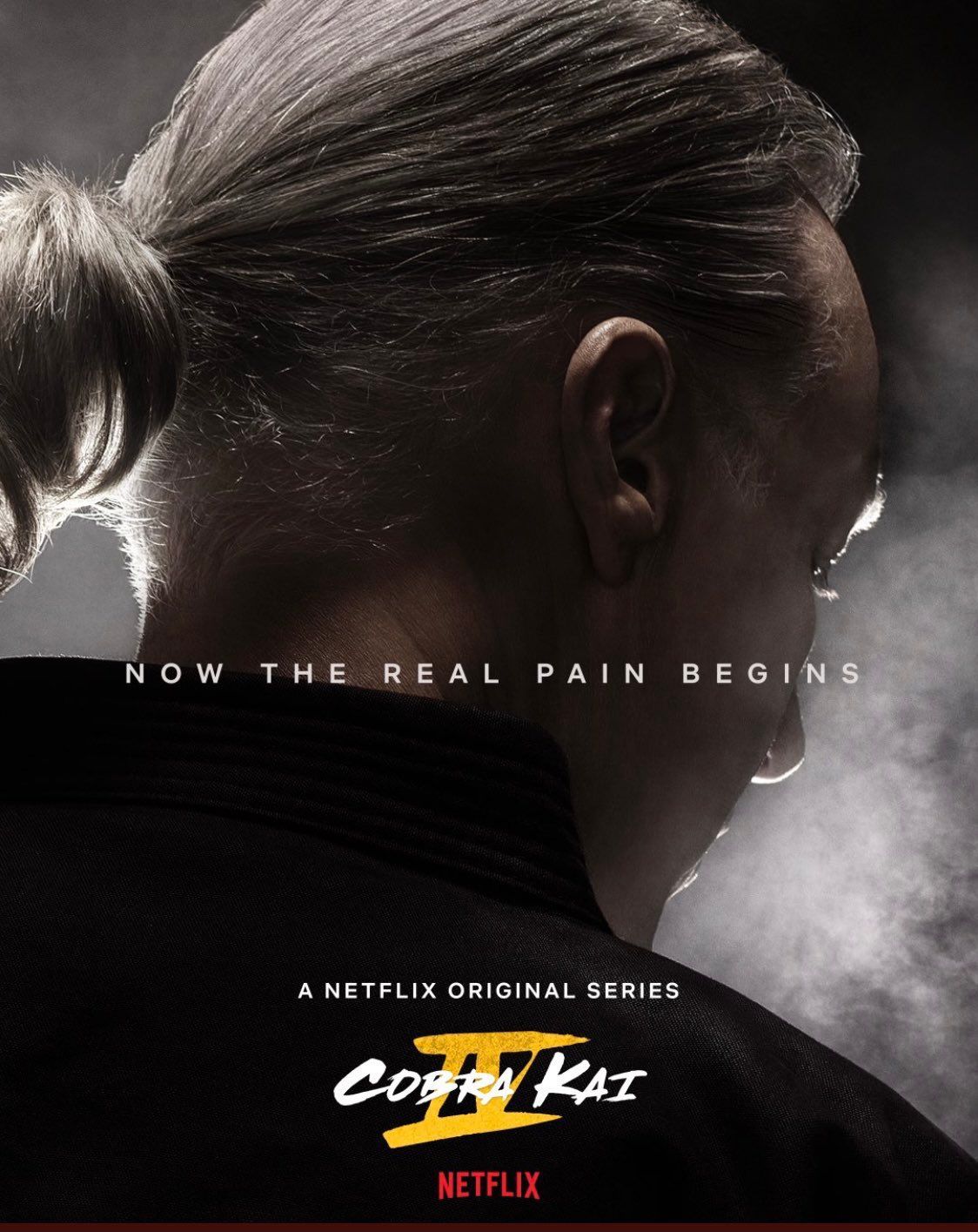 Cobra Kai Netflix Poster 4414