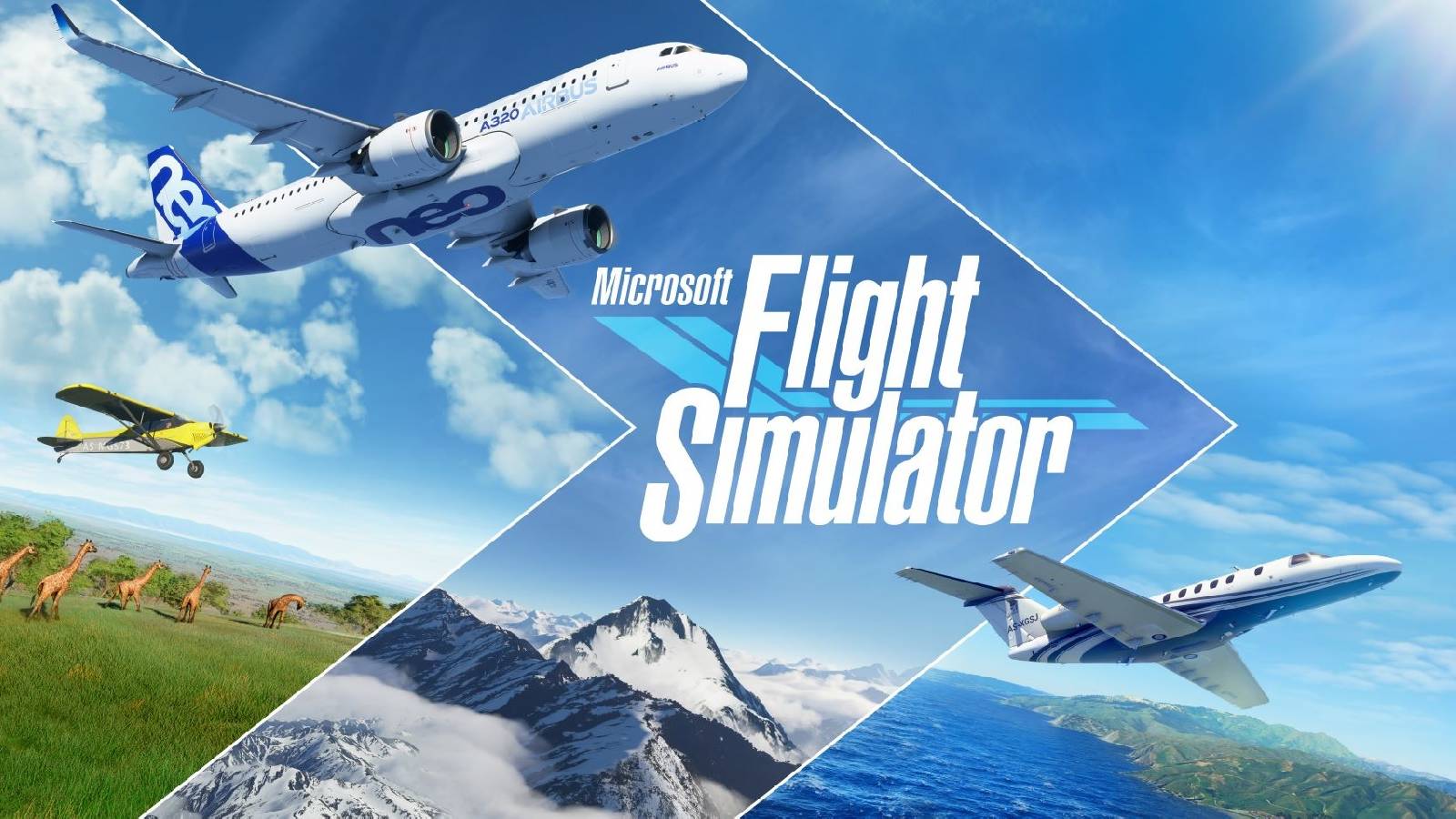 Microsoft Flight Simulator Patch Halves Download Size