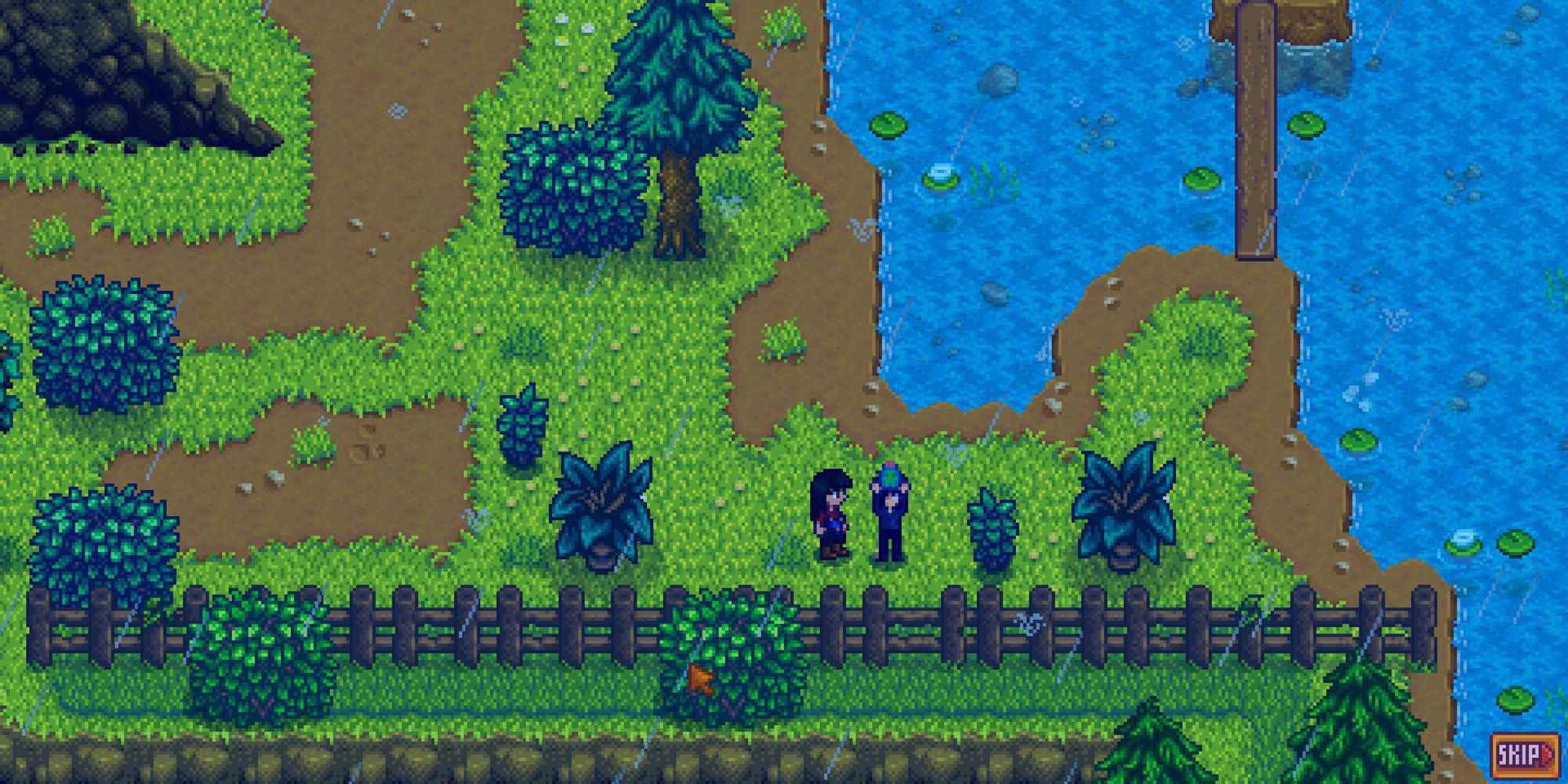 Stardew Valley's Sebastian Love & Friendship Guide