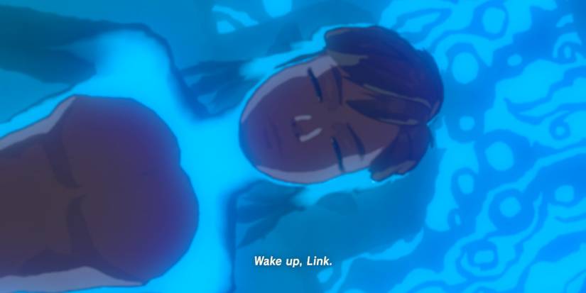 The Legend Of Zelda: 10 Times Link Had An Actual Personality