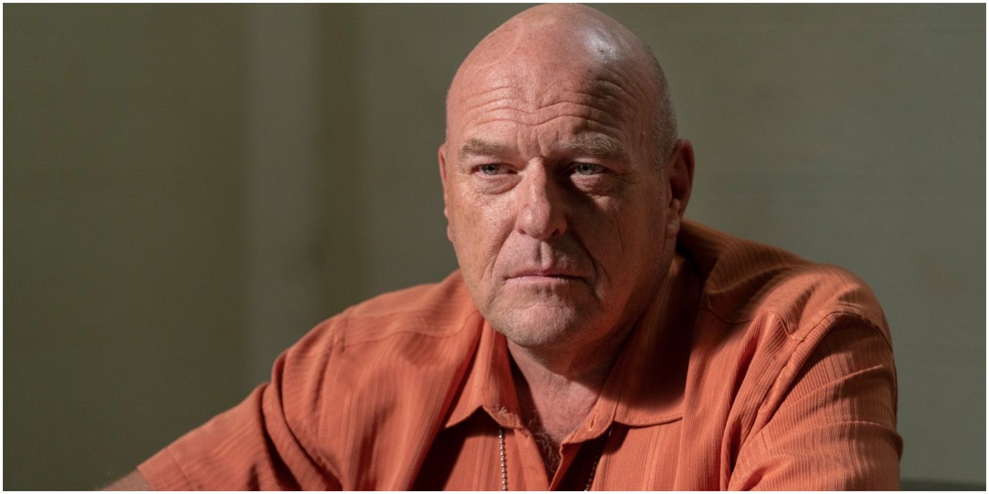 Breaking Bad Cast & Character Guide