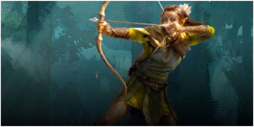 D&D: 5 Reasons Why Rangers Make The Best Characters For Wilderness ...