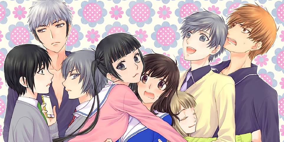 The Animation of Fruits basket another anime?