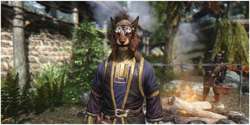 Skyrim: 5 Ways Khajiits Are The Best Beast Race (& 5 Why It's Argonians)