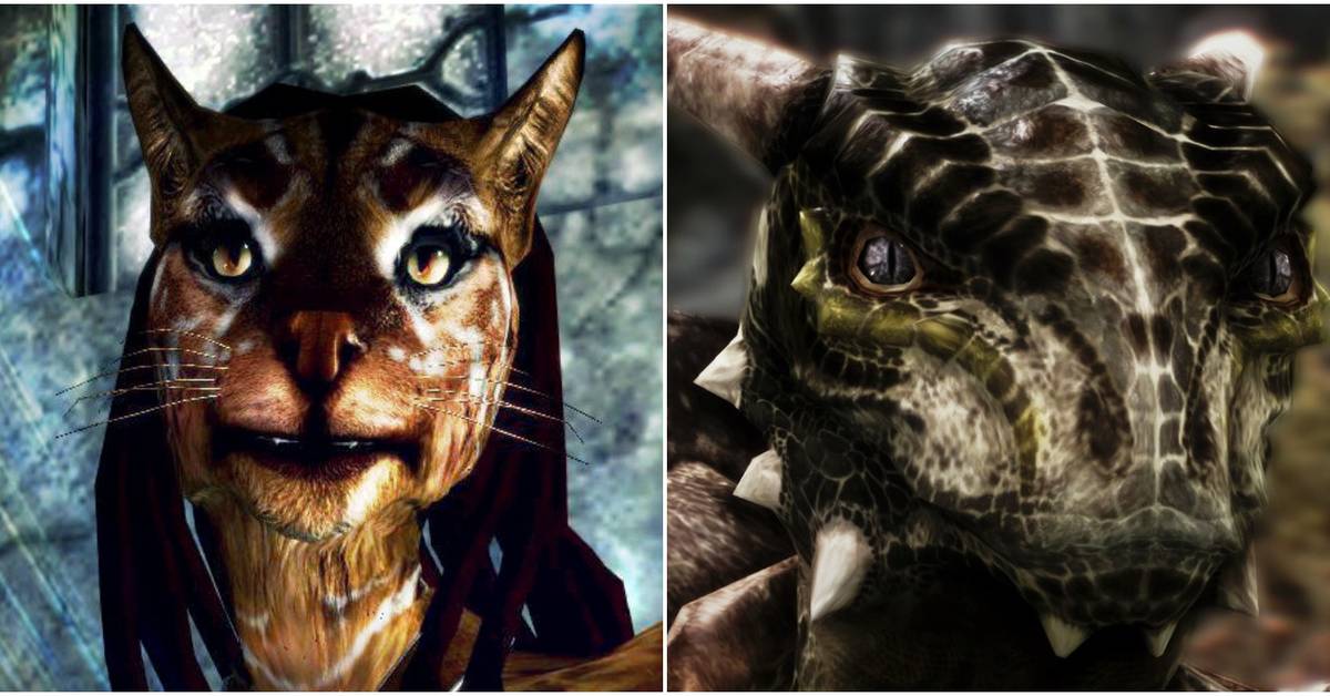 Beast Kin Kajit Elder Scrolls Khajiit Explained Who What Skyrims Cat People Are