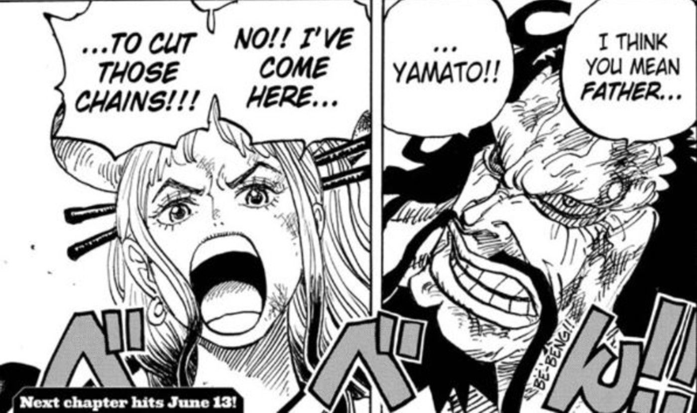 Mangayeh One Piece A Fan Favorite Finally Arrives To Fight Kaido