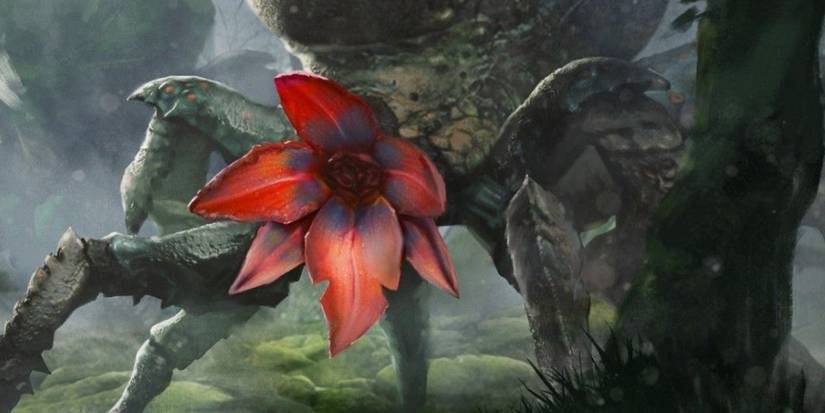 The Witcher Insectoid Guide