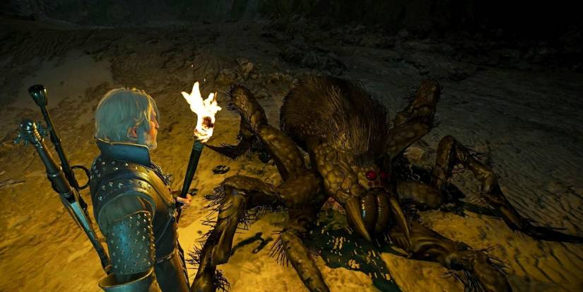 The Witcher Insectoids The Witcher Insectoid Guide