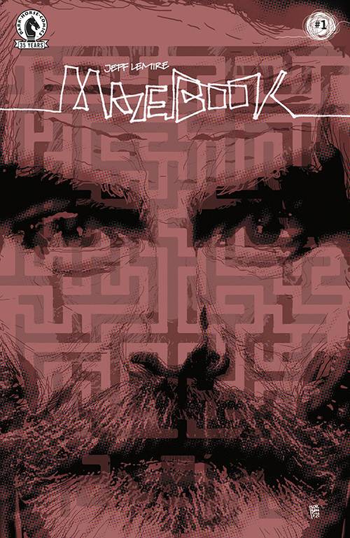 Mazebook Mazebook Jeff Lemire HC Dark Horse