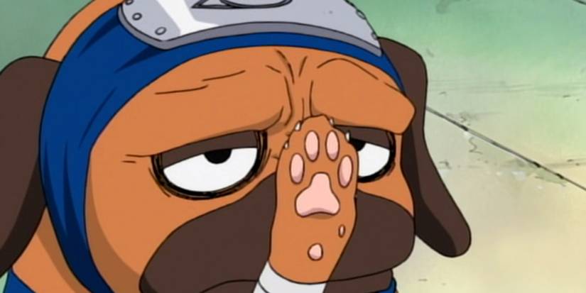 pakkun the dog from the naruto anime