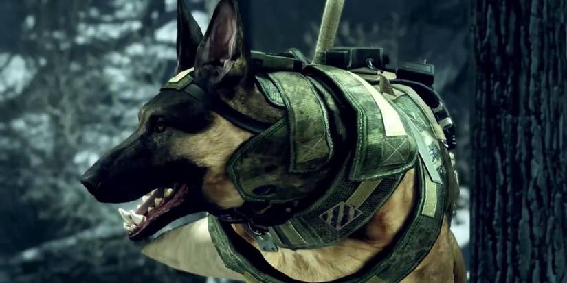 10 Most Talented Dog Companions In Video Games