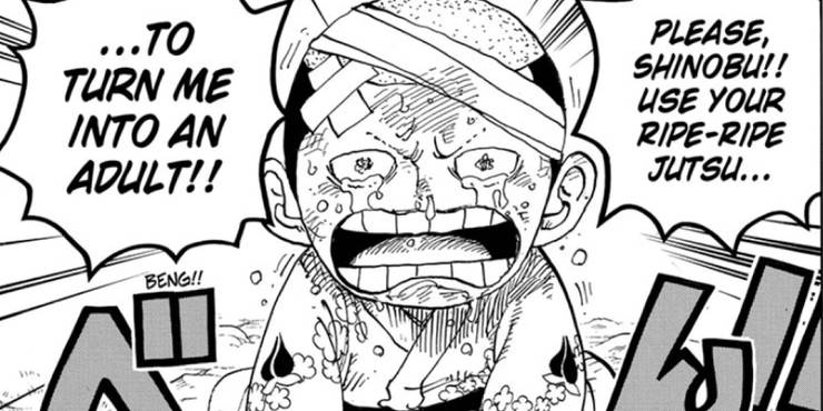 One Piece Momonosuke S Wish May Turn Him Into An Adult Cbr