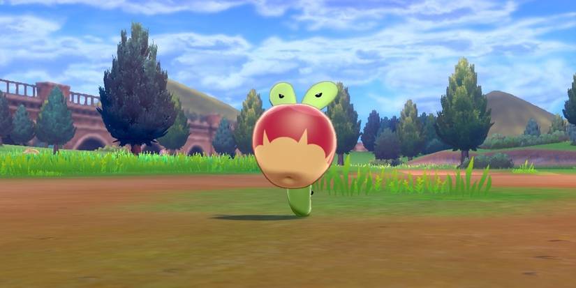 Pokemon Sword Shield Applin