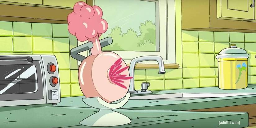 Rick and Morty: Season 5 Shows a Plumbus in Rick's Garage
