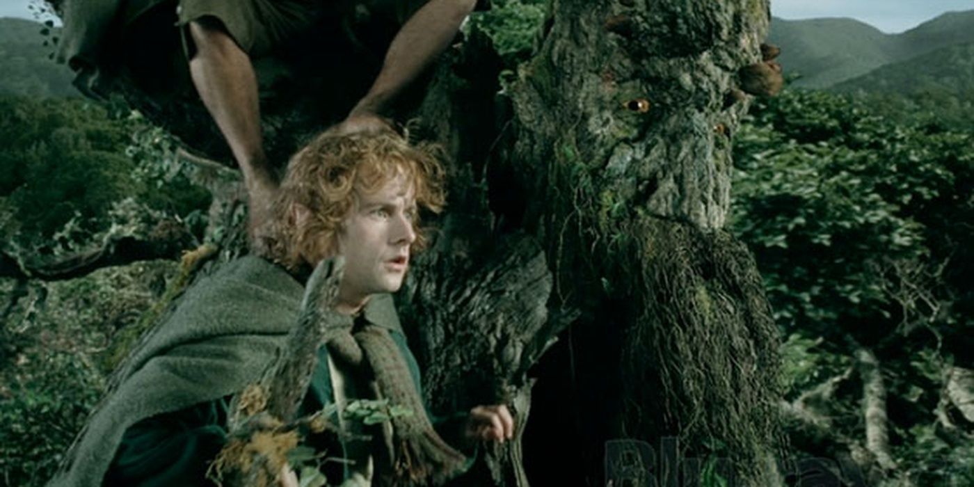 1 of Lord of the Rings' Greatest Heroes Was Almost The Franchise's ...