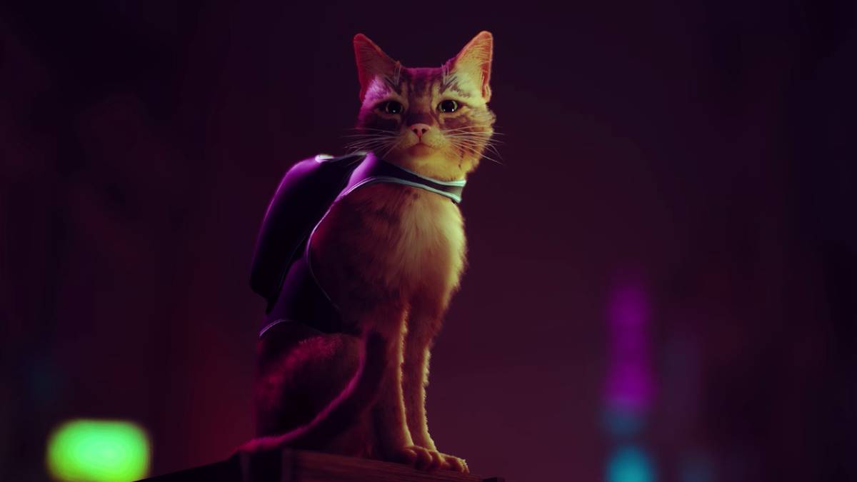 Stray, PlayStation's Anticipated First Person Cat Game, Gets a Leaked ...