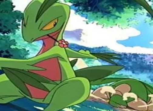 Groveyle 10 Reasons To Appreciate This Underrated Grass/Flying-Type Pokémon