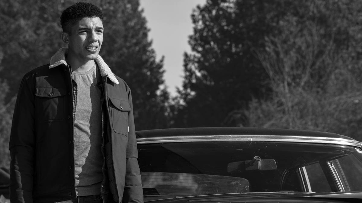 Titans' Tim Drake Actor Is Excited to Explore the Character's Bisexuality