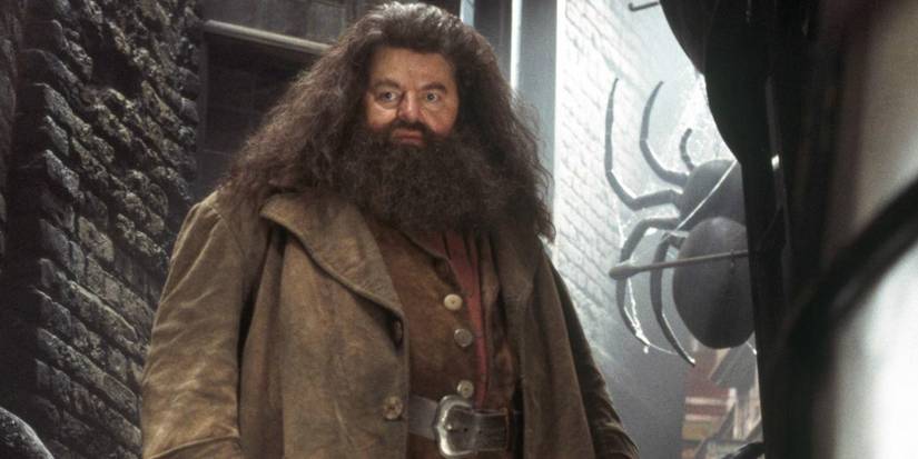 Rubeus Hagrid in Harry Potter