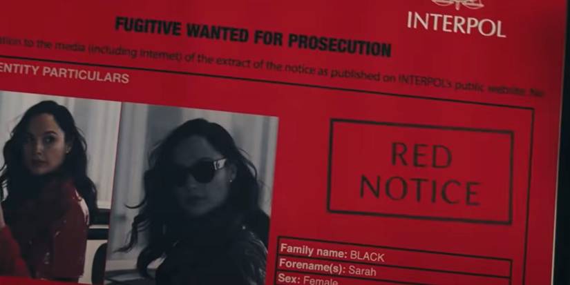 Red Notice Interpol stamp