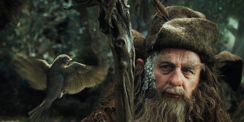 Lord of the Rings: How Powerful Is Radagast the Brown?