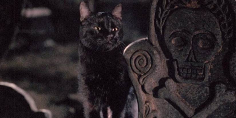 Hocus Pocus and Sabrina the Teenage Witch Shared an Animatronic Cat