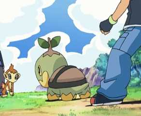 Turly Pokemon Every Turtle In Pokémon