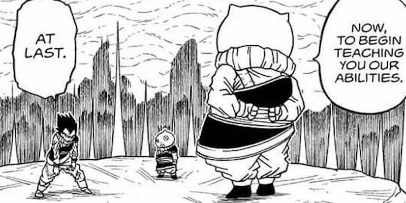 Pybara Dbz Dragon Ball Super: 9 Things You Didn’t Know About Vegeta’s Time On Yardrat
