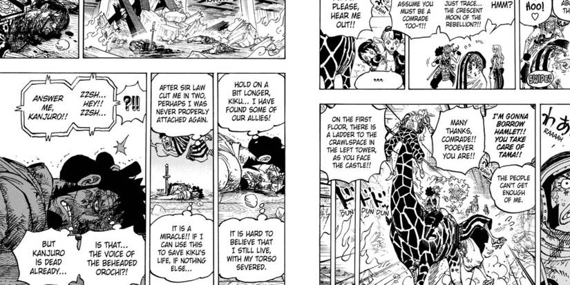 One Piece Manga Used One of Its Worst Tropes - Again